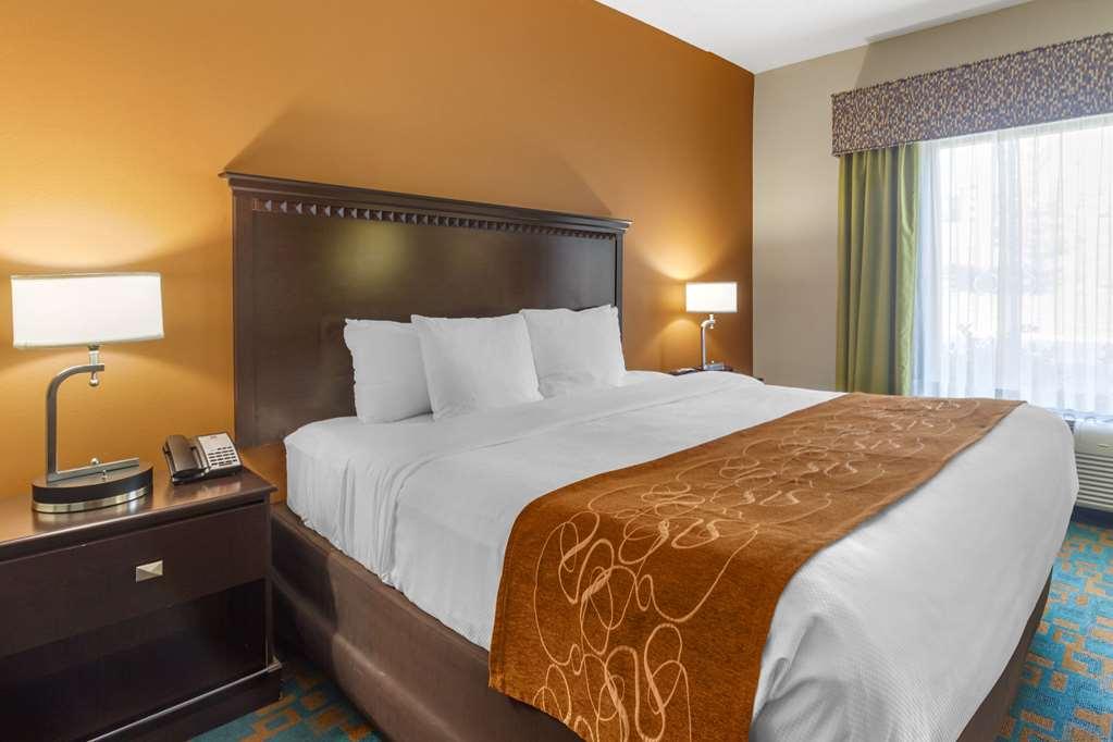 Comfort Suites Knoxville West - Farragut Zimmer foto